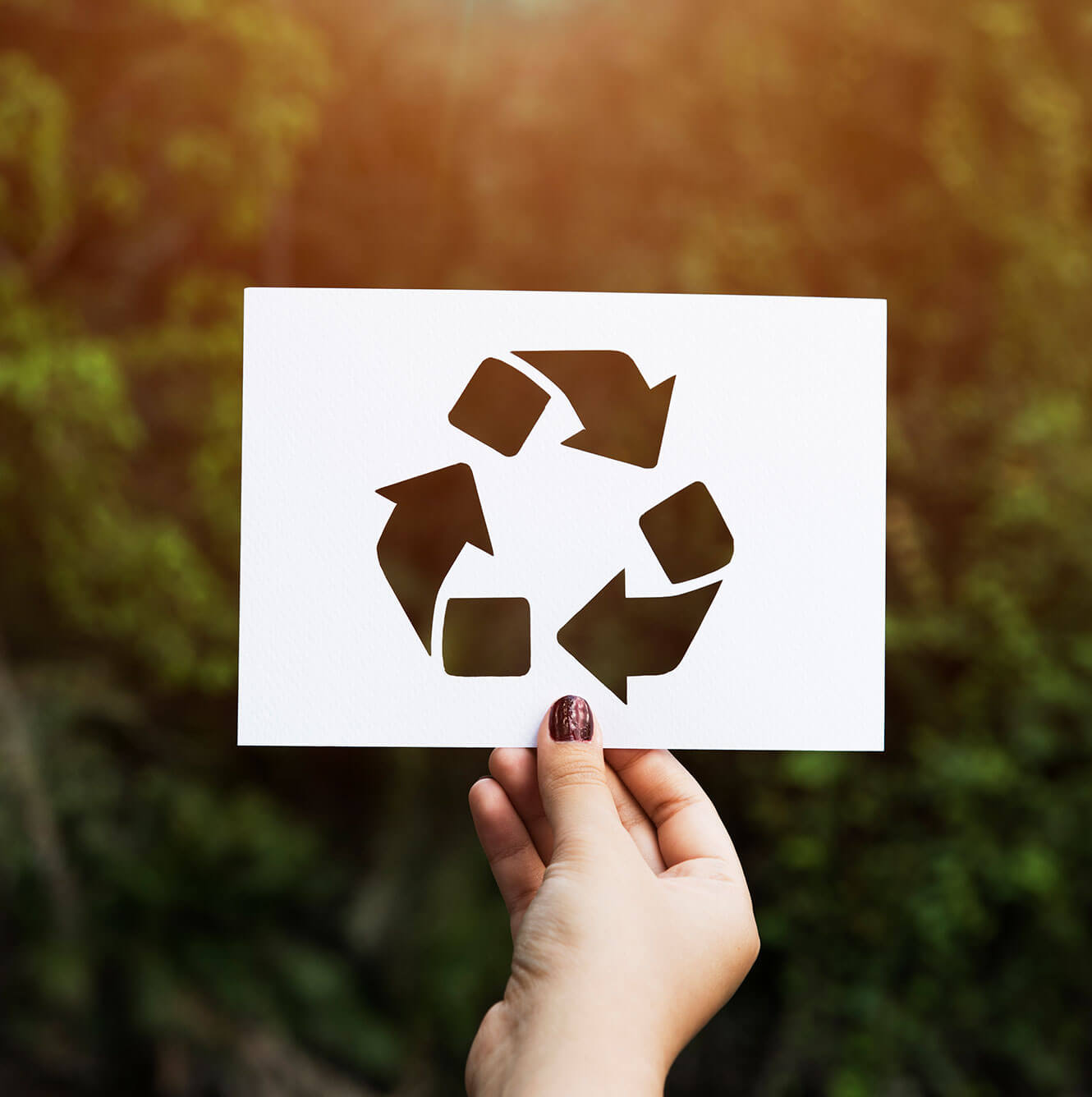 Eco-Friendly Waste Disposal